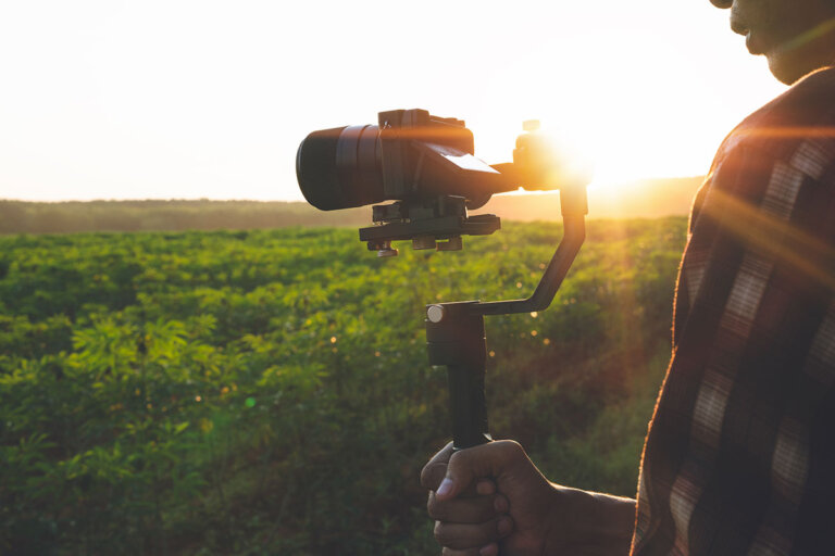 gimbal