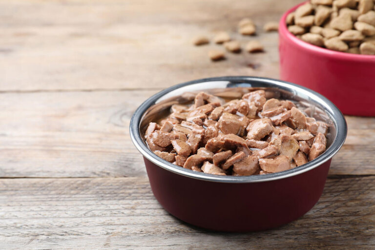 nourriture humide pour chiens