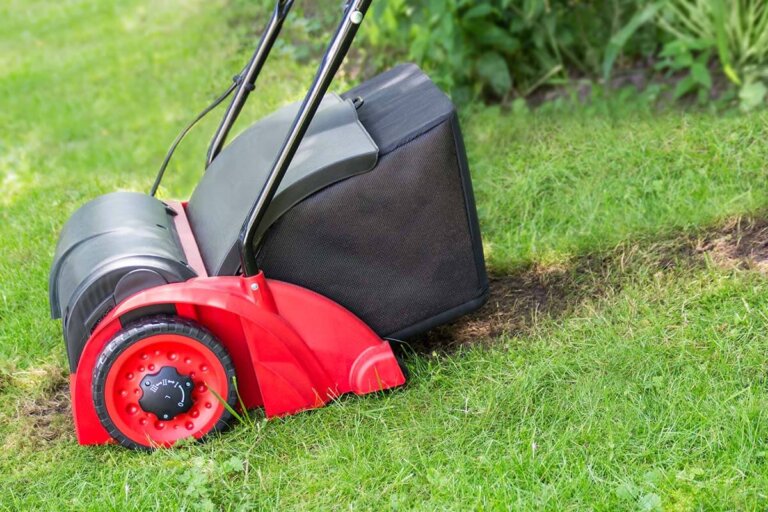 scarificateur électrique