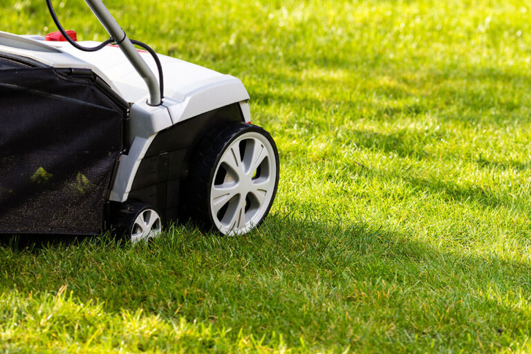 scarificateur sans fil