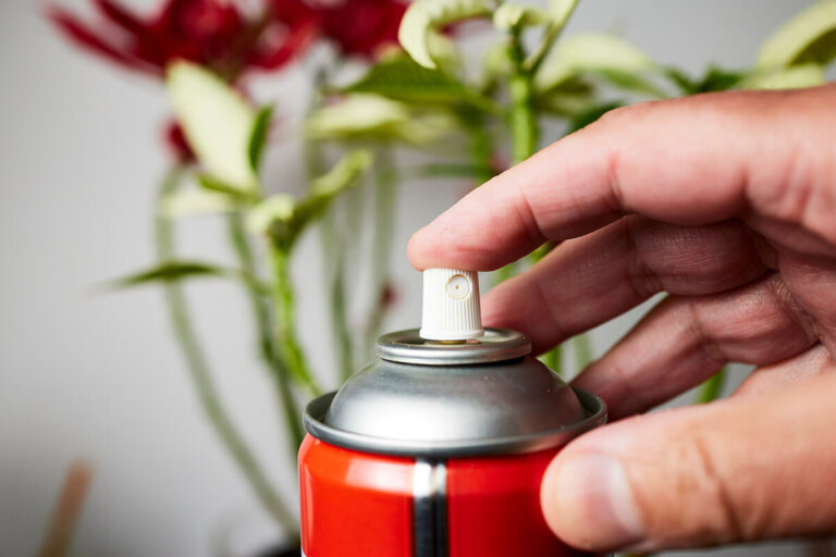 spray anti-guêpe