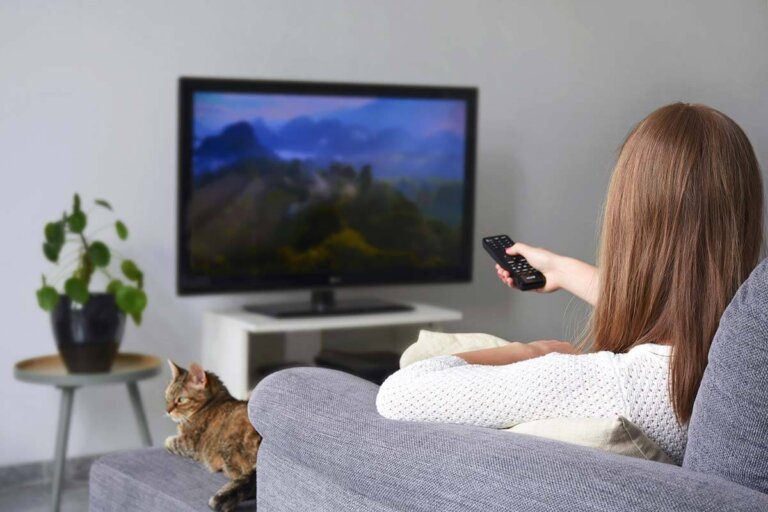 téléviseur 22 pouces