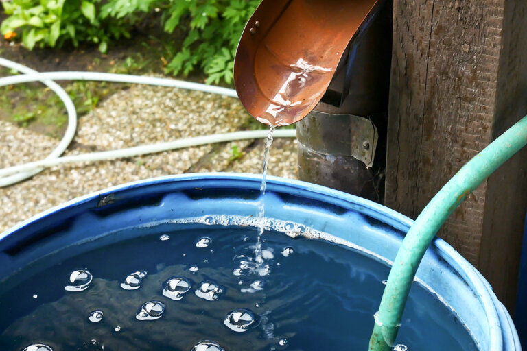 tonneau récupérateur d'eau