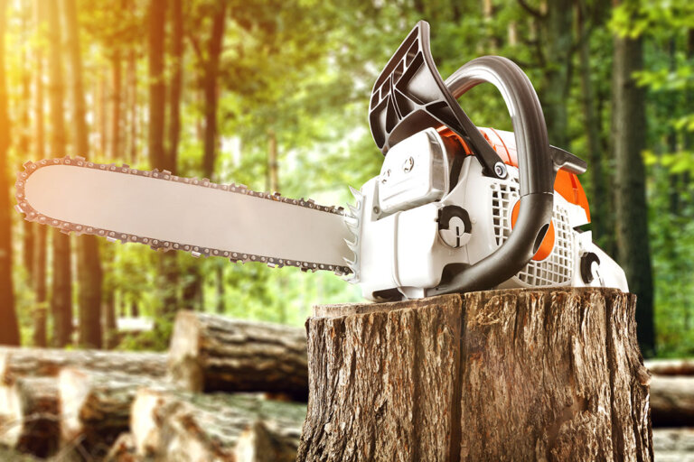 tronçonneuse